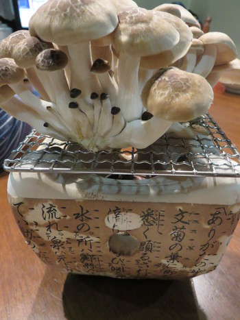 しめじ美味しい～♪ 具だくさんの味噌汁最高！
