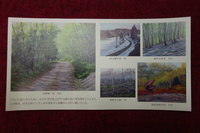 ｷﾞｬﾗﾘｰﾌﾟﾗｻﾞ長野・鈴木守油絵展