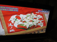逸ノ城 と、百合の花