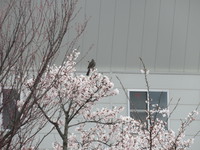 せめてお名前を！