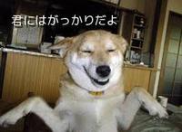 フィッティングは大事です　汗