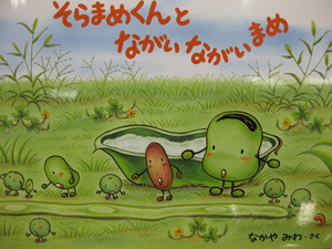 そらまめ