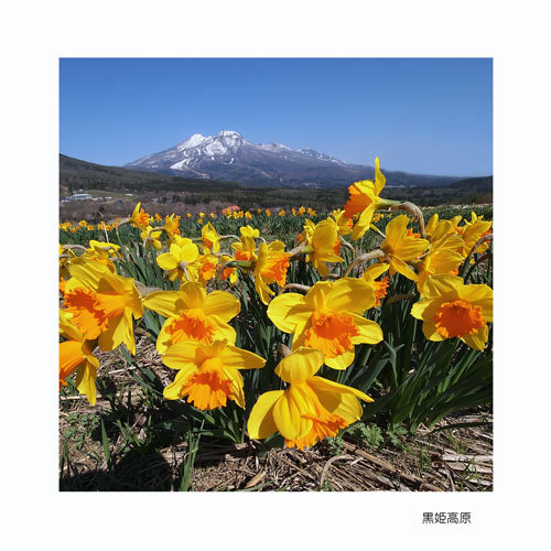 信濃町