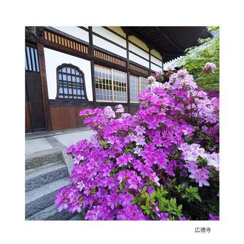 長野市