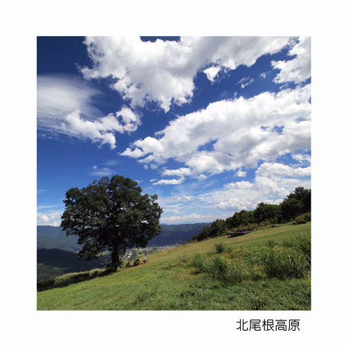 白馬村