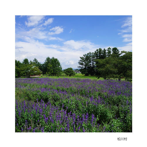 松川村