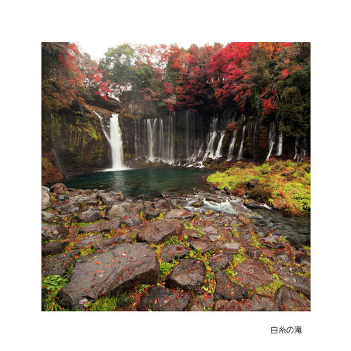 静岡県