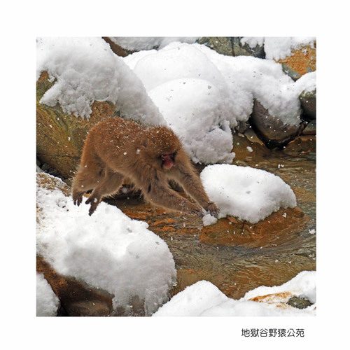 山ノ内町