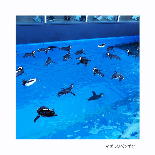 新潟県