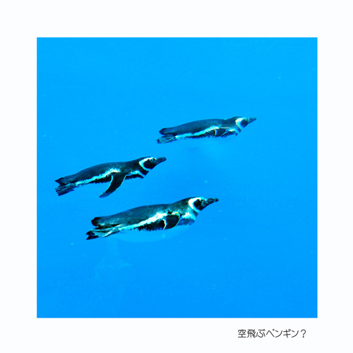 新潟県