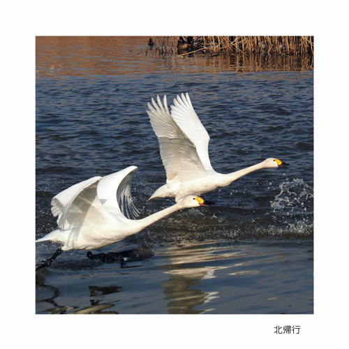 安曇野市