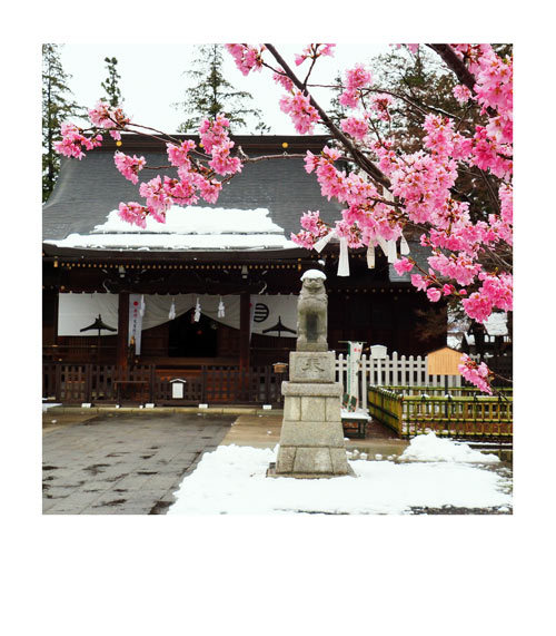 長野市