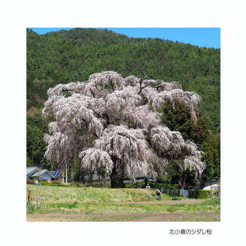 安曇野市