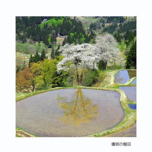 新潟県