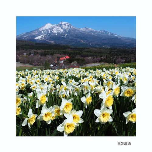 信濃町