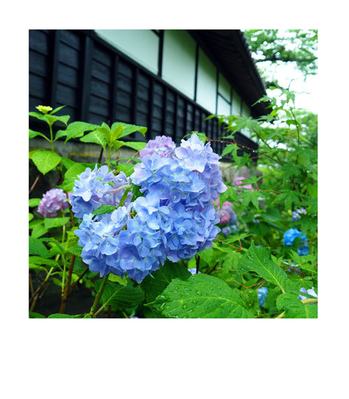 中野市