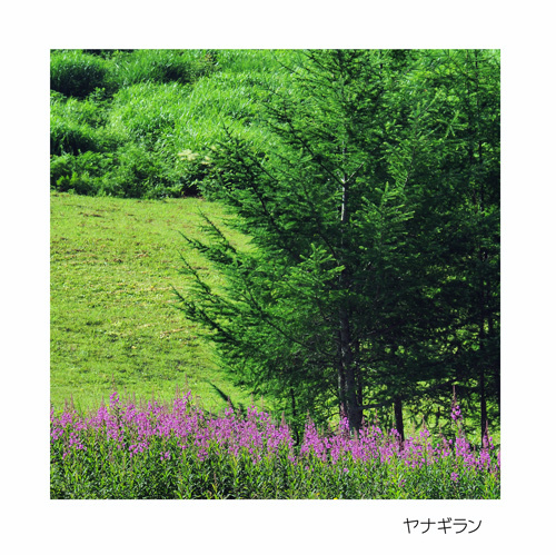 長野市