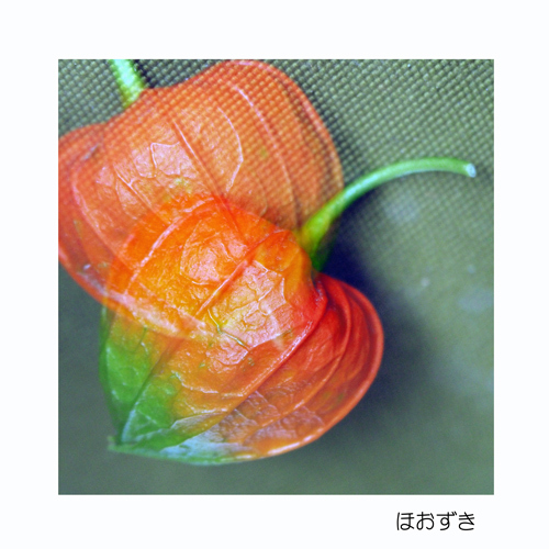 長野市