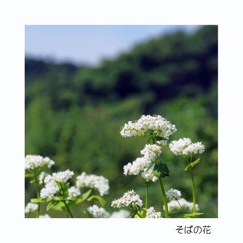 飯綱町