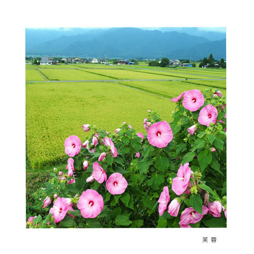 池田町