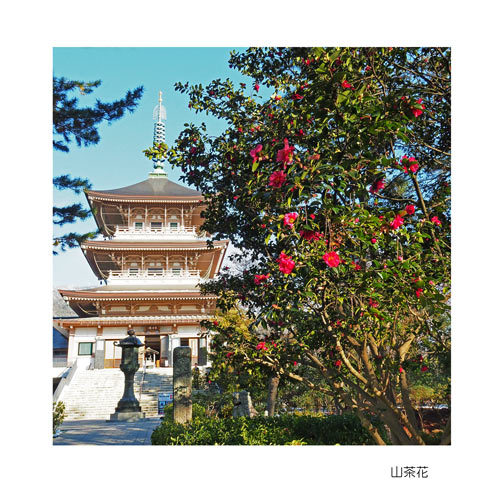 長野市