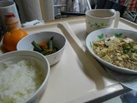 今日のご飯