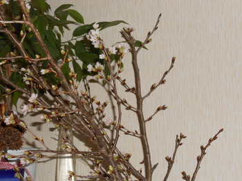 いつになったら・・・？