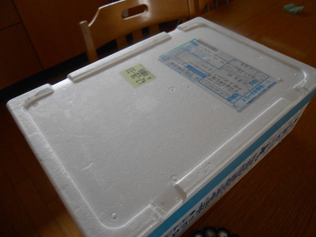お届け物