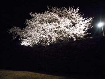 松代城