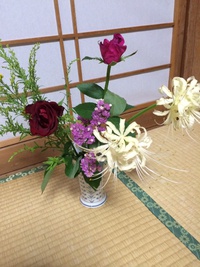 どうですか？