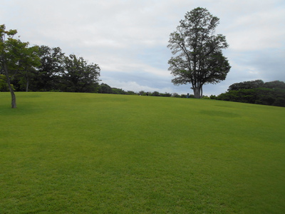 東御市中央公園
