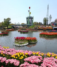 砺波チューリップ公園