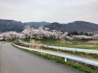 昨晩は結構揺れましたね　＋　千曲市の方へ