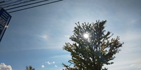 太陽の両側に幻日！そして日の暈