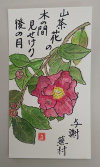 山茶花が、咲いてる。 2019/12/14 05:18:00