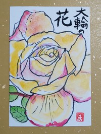 真冬のｻﾝﾊﾞ♪薔薇のﾘｵｻﾝﾊﾞ 2019/12/24 05:18:00