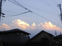 コラム追加しました
