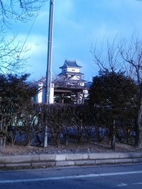 長野の子ども白書