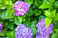 お父さんだけで1万8千円だったけど・・・