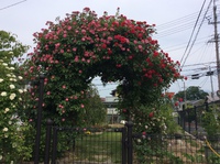 3年前に見直せば良かった
