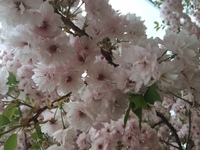 ４月！
