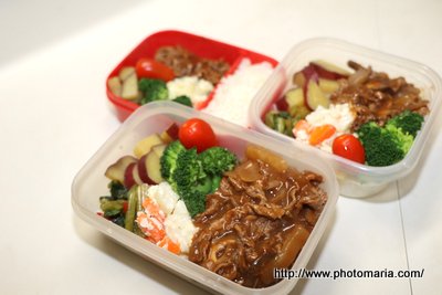 ハッシュドビーフ弁当