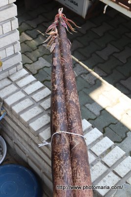 お好み焼き風ロールポーク