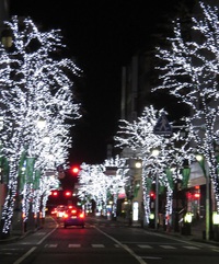 煌めきの並木道　城下町Hikariのページェント in DAIMYOCHO