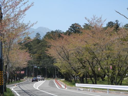 桜から桃へバトンタッチ
