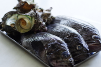 牡蠣のコンフィ、黒ソイのカチュコなどなど・・・・