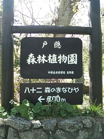 戸隠♪