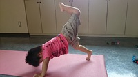 小さなヨギー。