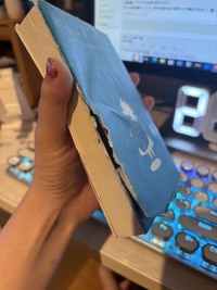 【金魚姫】読んだ感想とか