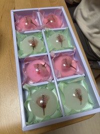 久しぶりに会った！！